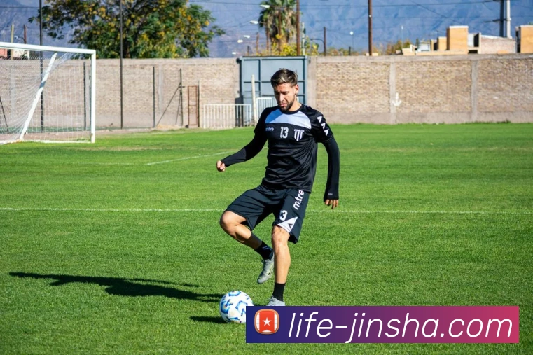 金沙官网平台生态图