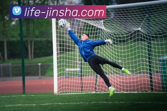 金沙官网APP 封面图